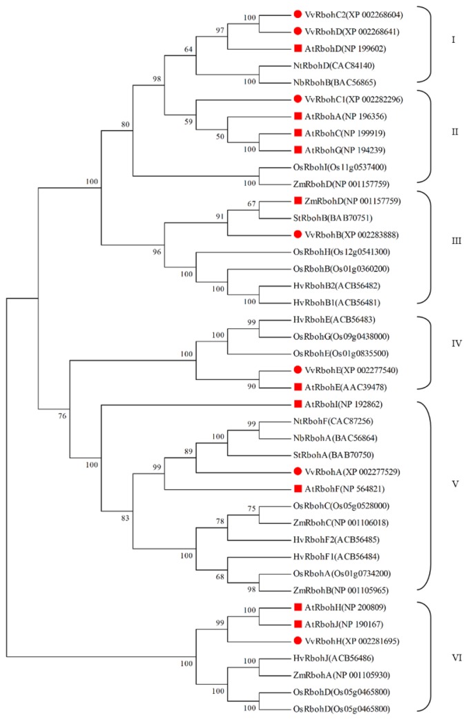 Figure 2.