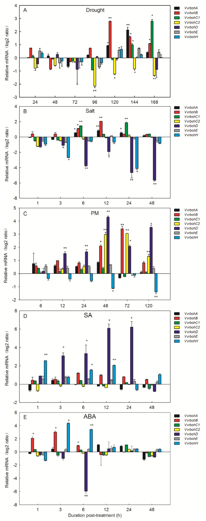 Figure 6.