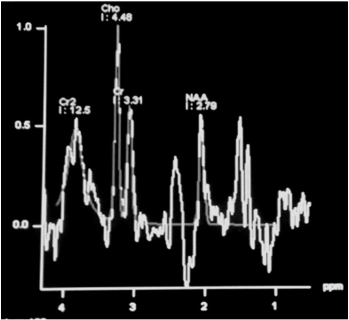 Fig. 5