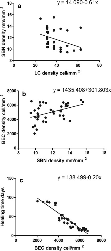 Epithelial changes with corneal punctate epitheliopathy in type 2 ...