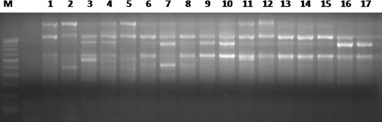 Fig. 1