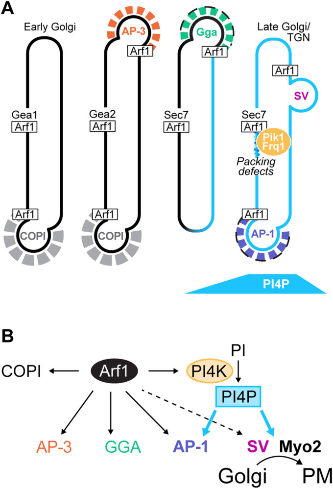 FIGURE 7: