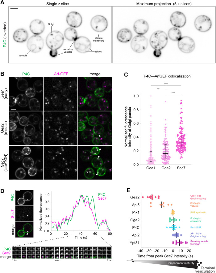 FIGURE 3: