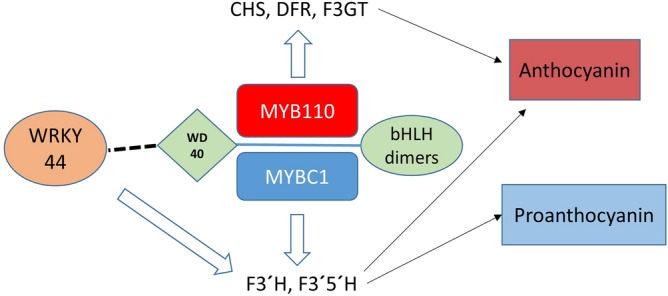 Figure 10