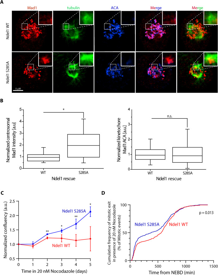 FIGURE 3: