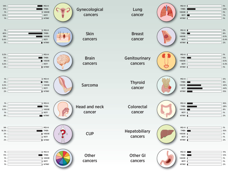 Figure 1. Frequency of tissue-agnostic targets across common malignancies. Data on BRAF V600E, RET fusions, NTRK fusions, and TMB are obtained from AACR GENIE database. Data on dMMR/MSI-H are obtained through literature search as they are not available in GENIE.