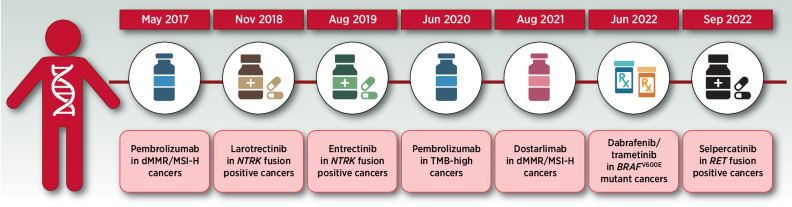 Figure 2. Timeline of FDA tissue-agnostic approvals. (Adapted from an image created with BioRender.com.)