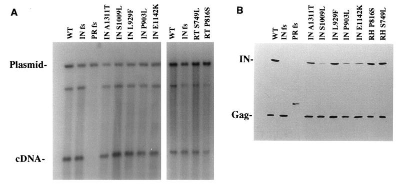 FIG. 6