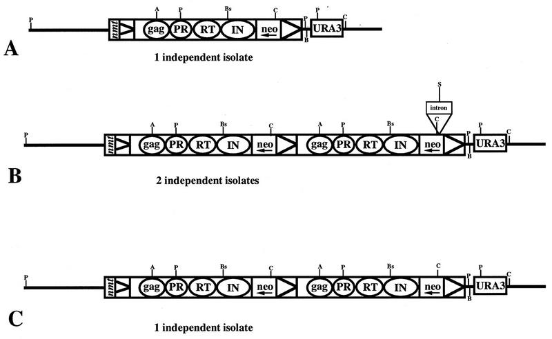 FIG. 3