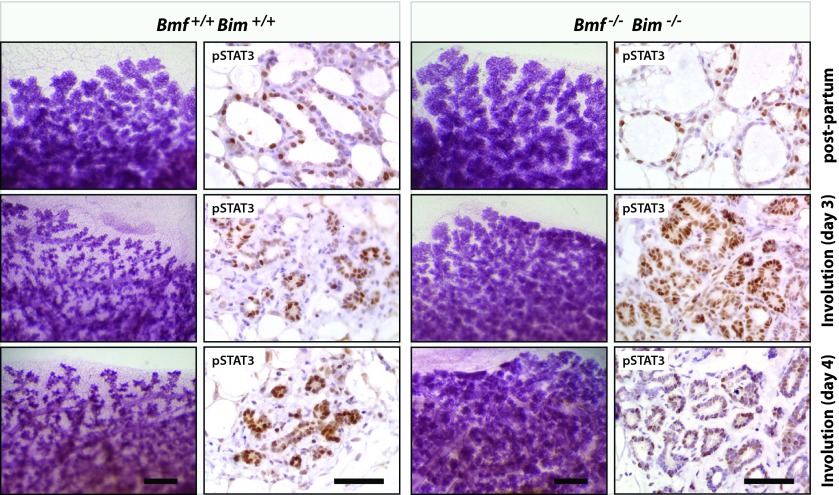 FIG 10