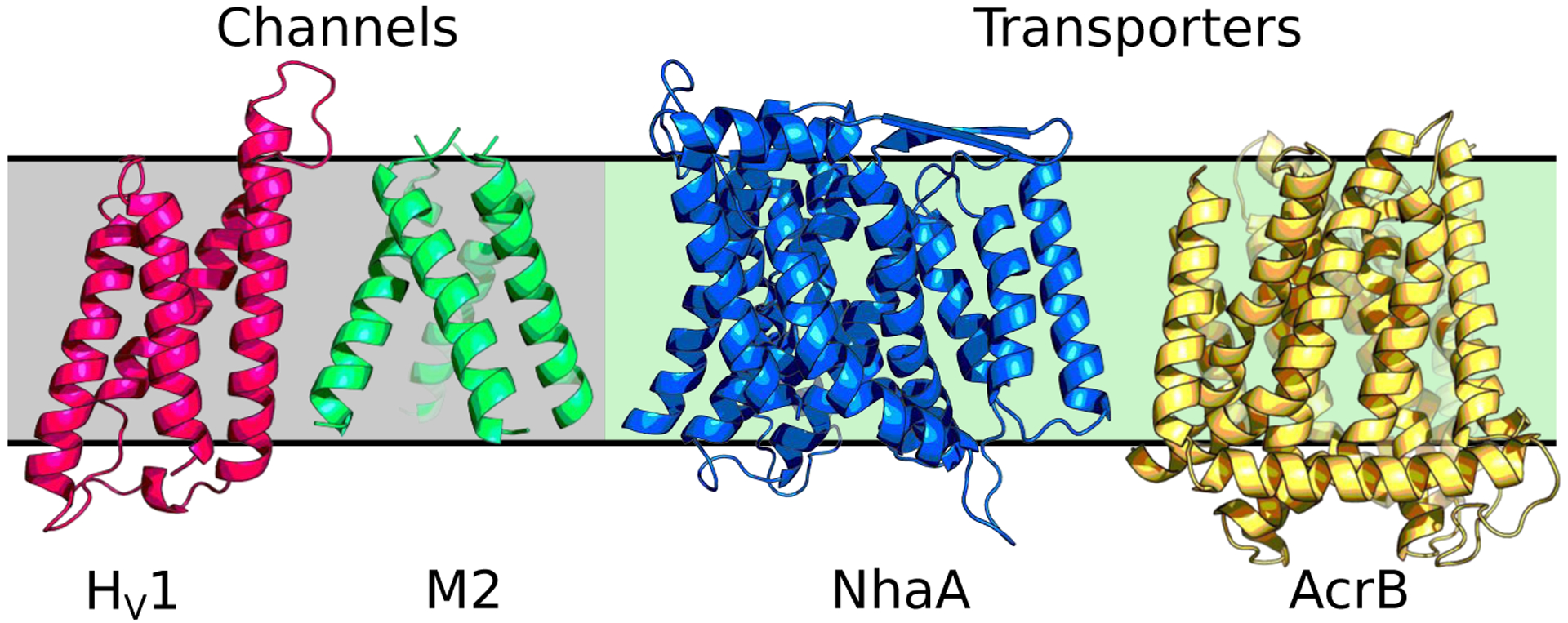 Fig.1.