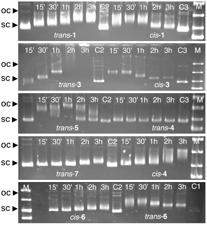 Fig. 4