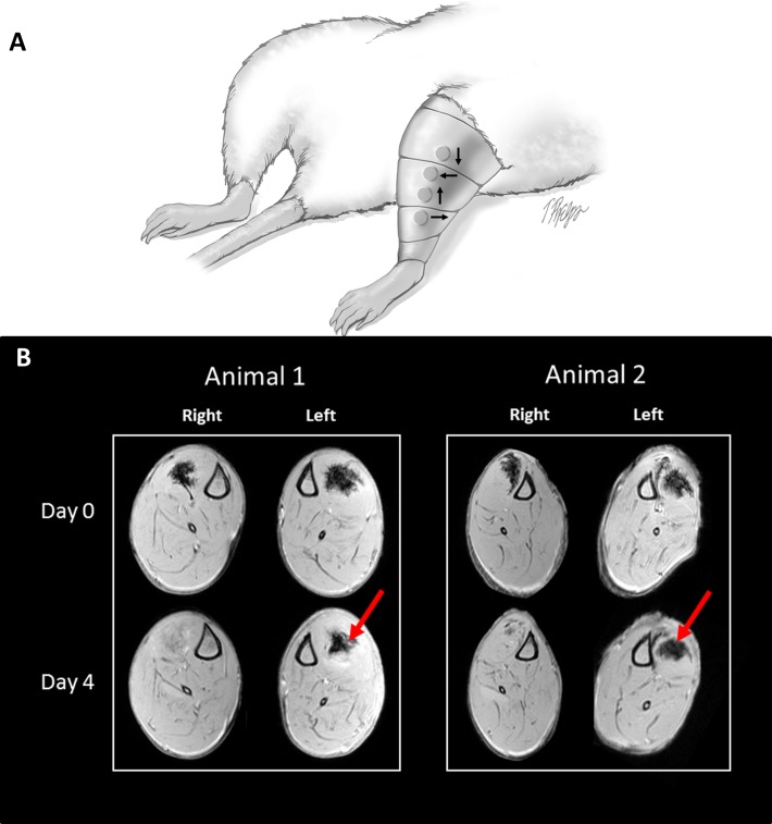 Figure 4.