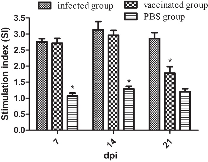 FIG 3