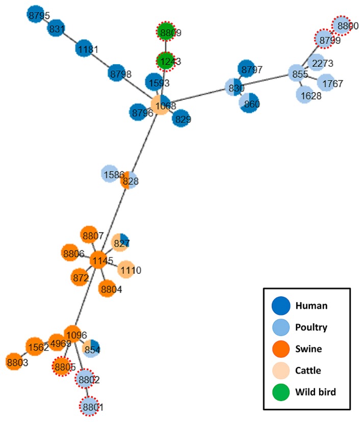 Fig. 1