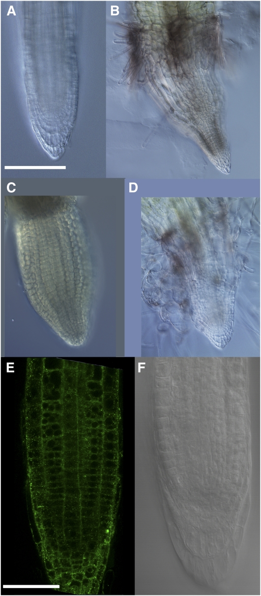 Figure 12.