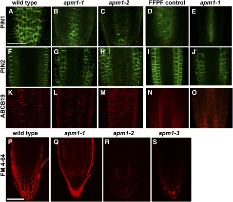 Figure 13.