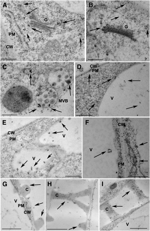 Figure 10.