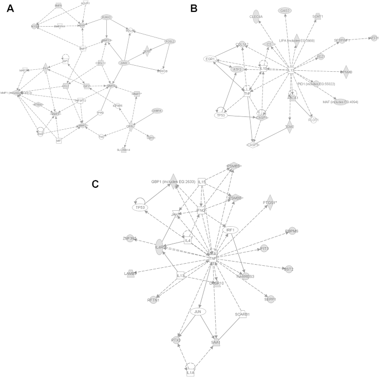 Fig. 3