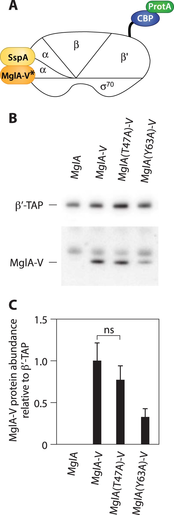 FIG 6