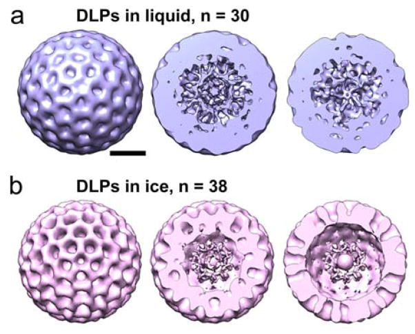 Fig. 4