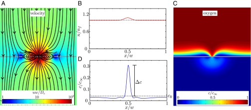 Fig. 6.