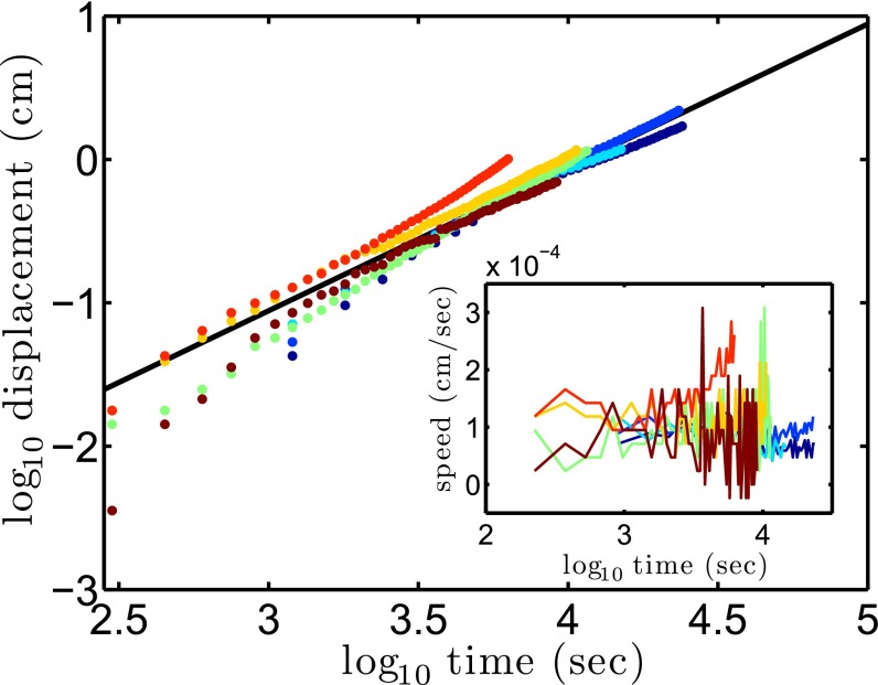 Fig. 3.