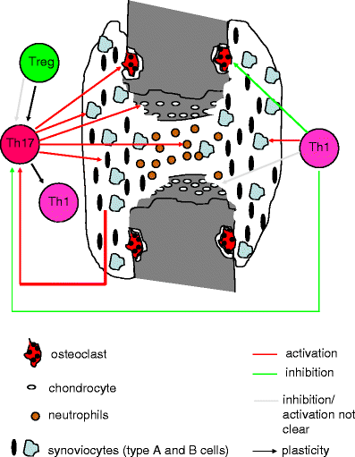 Fig. 1