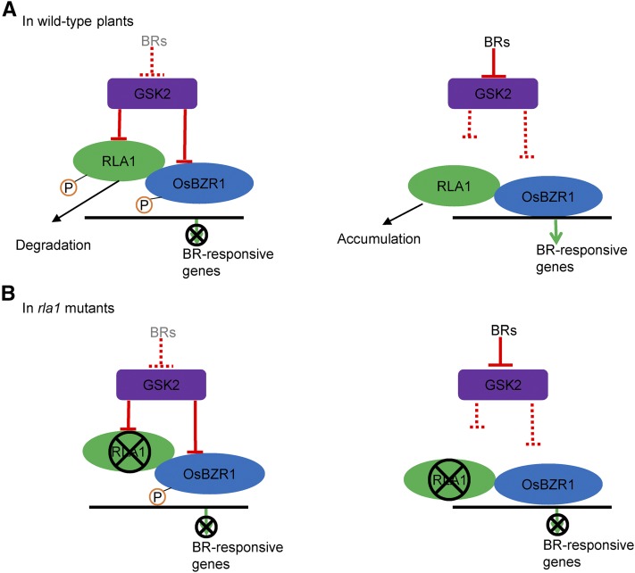 Figure 9.