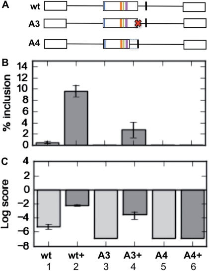 Figure 7.