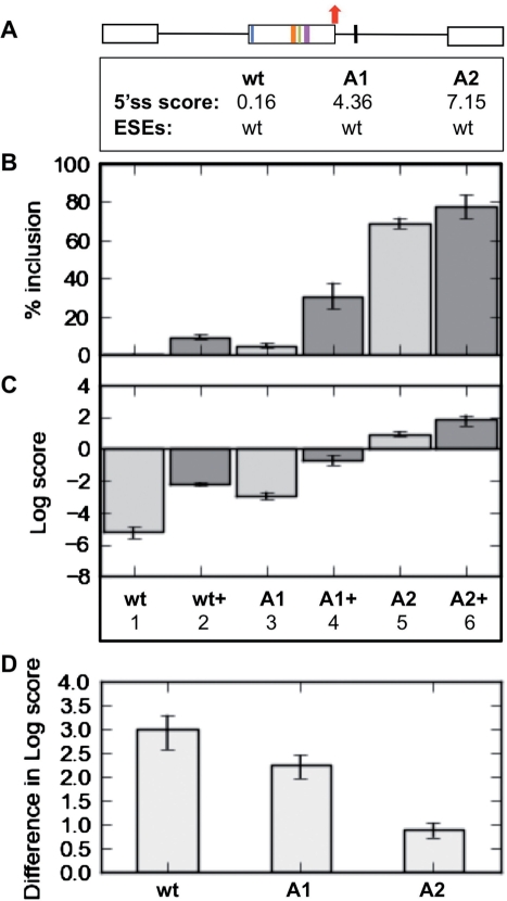 Figure 2.