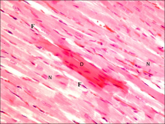 Fig. 10.