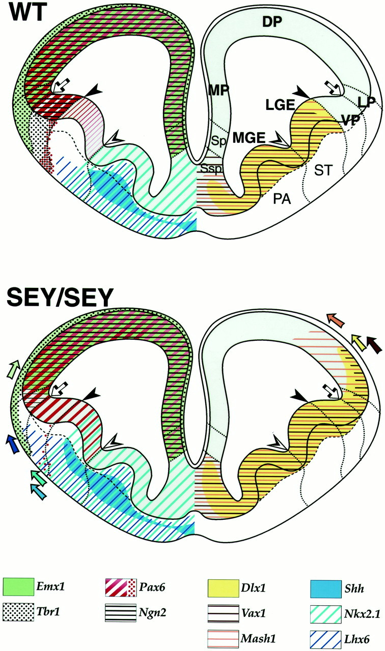 Fig. 7.