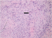 Fig 3.