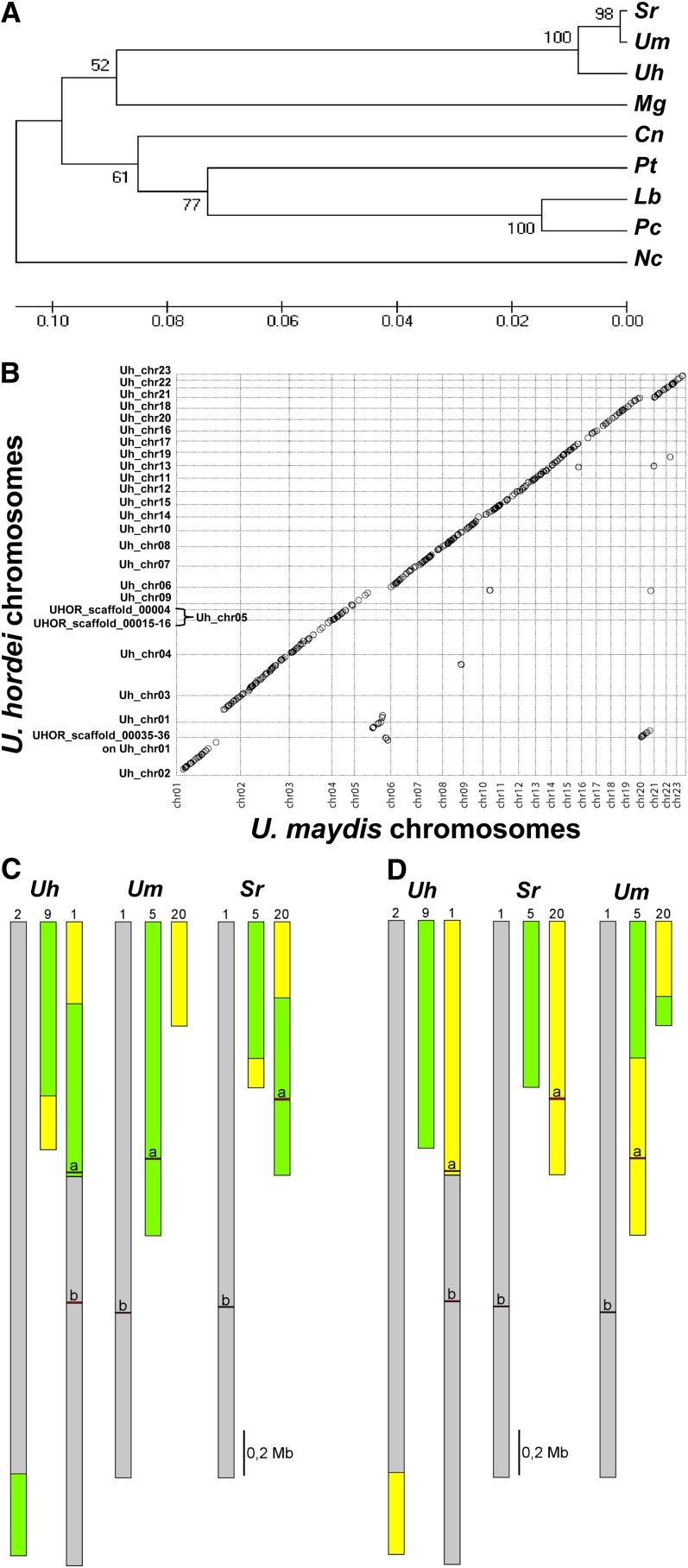 Figure 2.