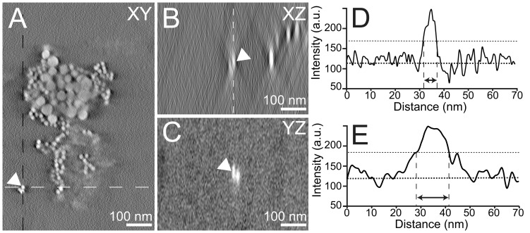 Figure 3