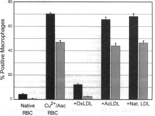 graphic file with name pnas01130-0398-a.jpg