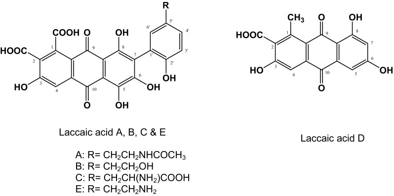 Fig. 1