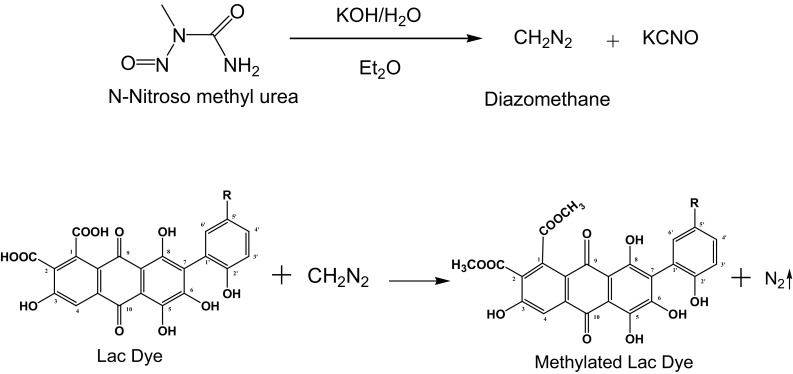 Fig. 2