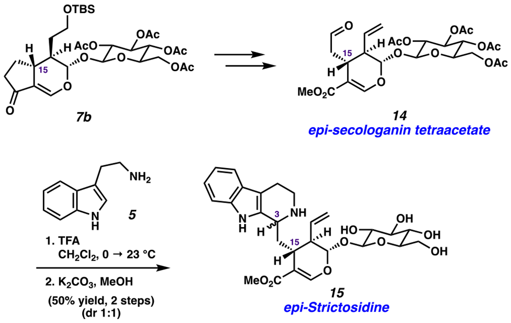 Scheme 6.