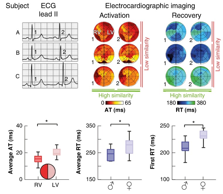 Graphical Abstract