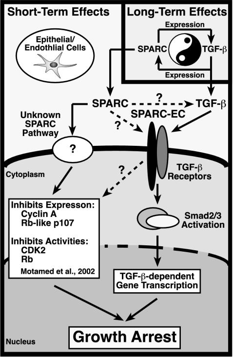 Figure 9.