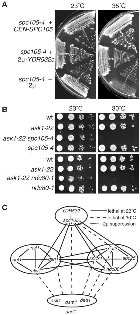 Figure 9.