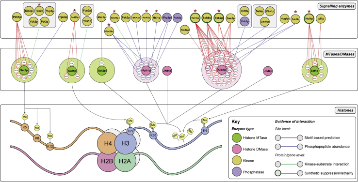 Figure 6