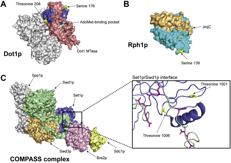 Figure 4