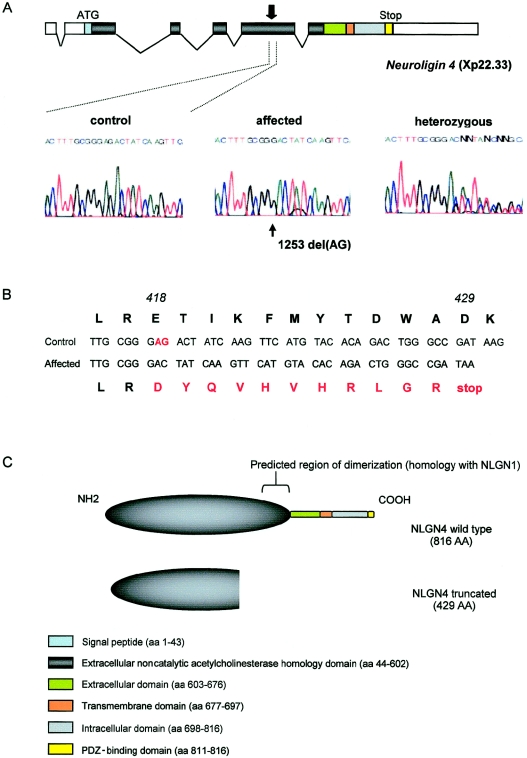 Figure  2