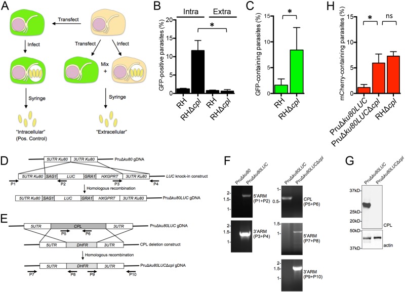 FIG 2 