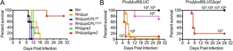 FIG 6 