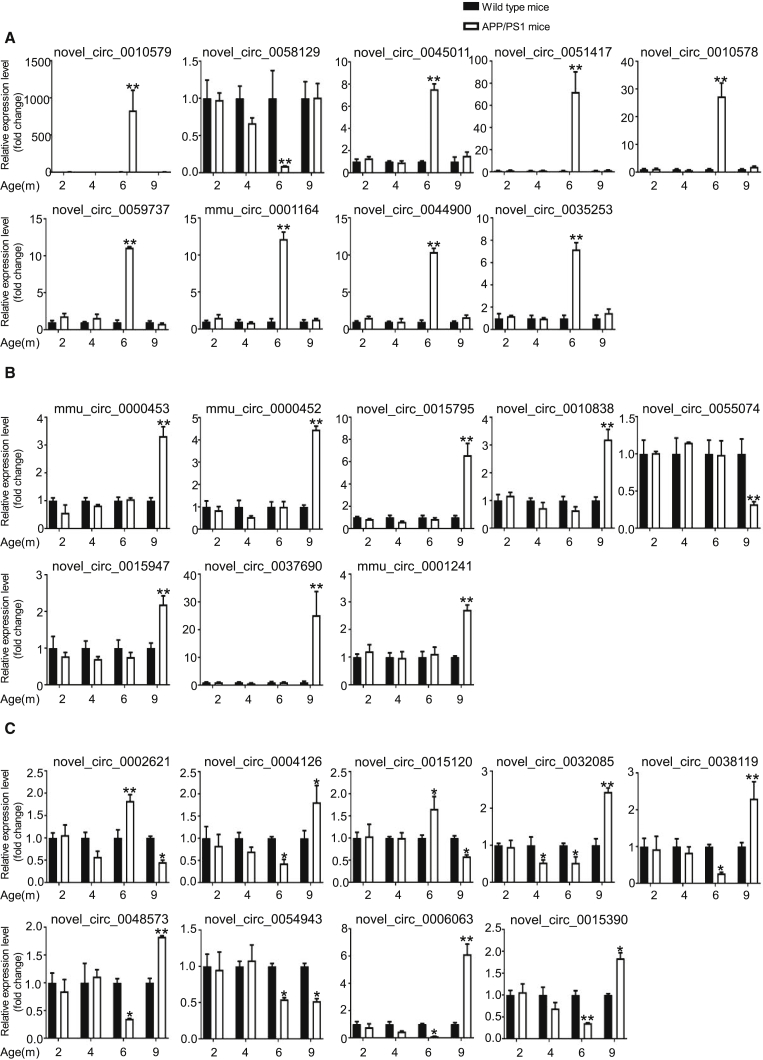 Figure 3