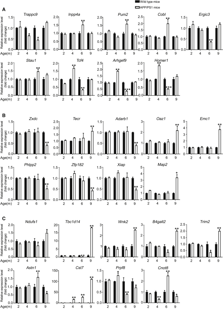 Figure 5